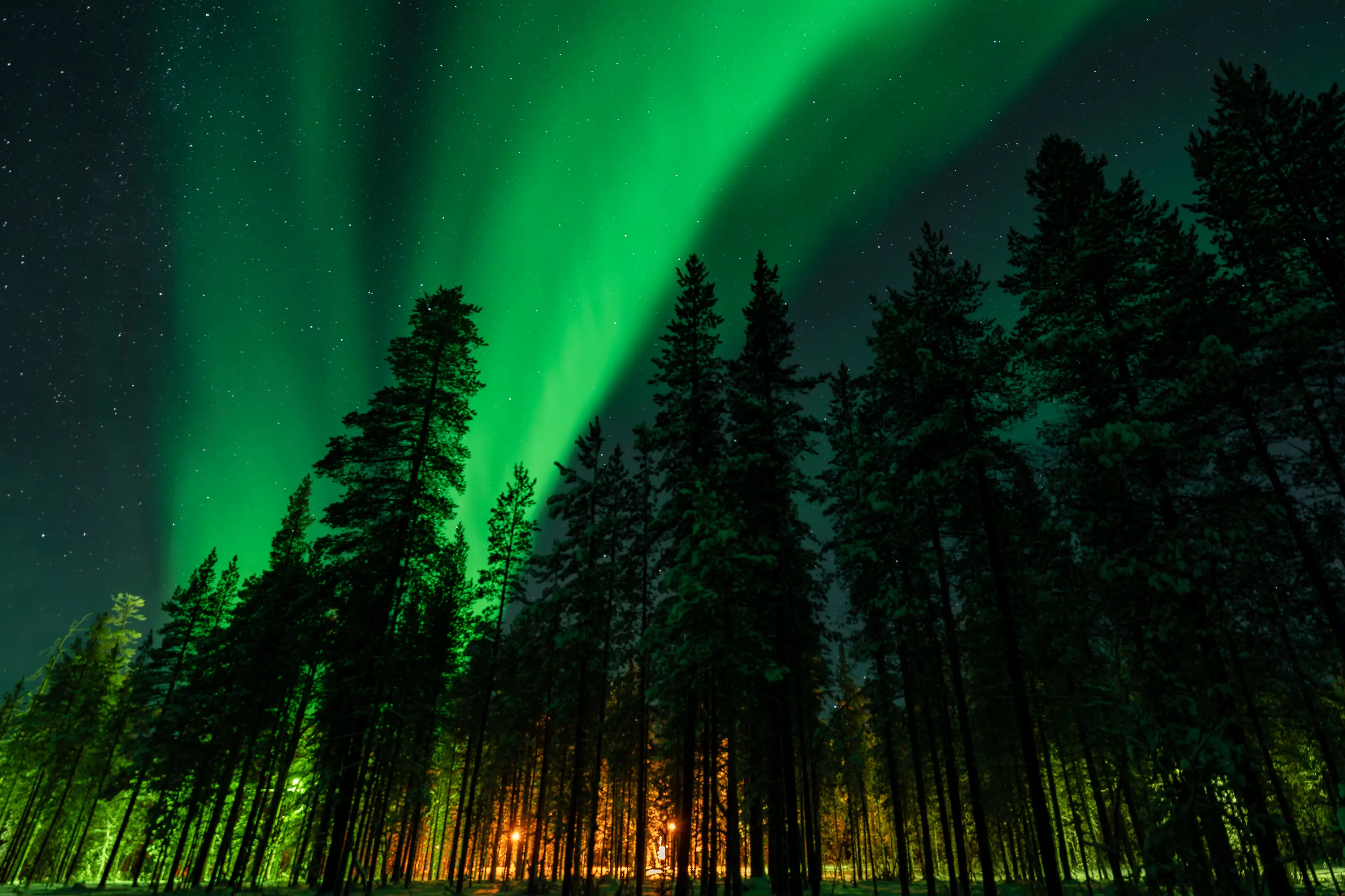 Northern Lights under a polar night in Finnish Lapland.