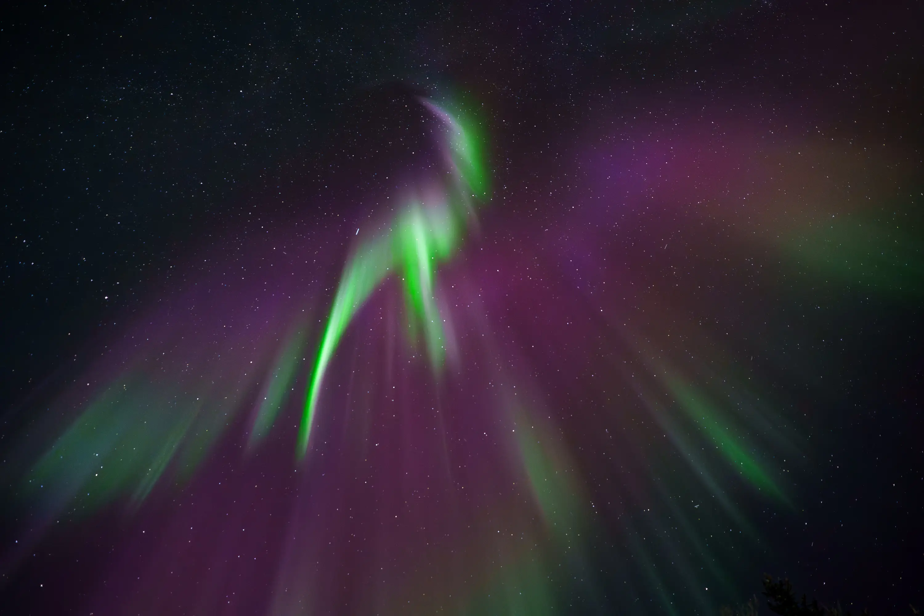 Aurora Borealis shaped like a phoenix under the northern sky.